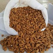 Badam (Almonds) – Premium Quality, Healthy & Nutritious Dry Fruit 2 KG